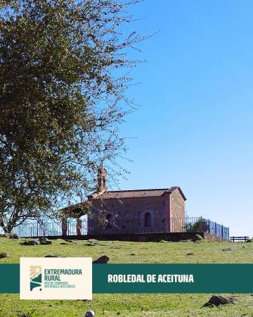 Imagen Descubre la Ruta del Robledal en Aceituna.