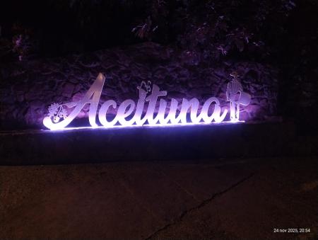 Imagen Aceituna, en violeta, por ellas